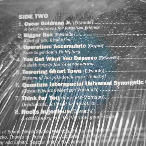 the Mount McKinleys LP portrait of a mindbender still sealed Get Hip - Picture 3 of 3